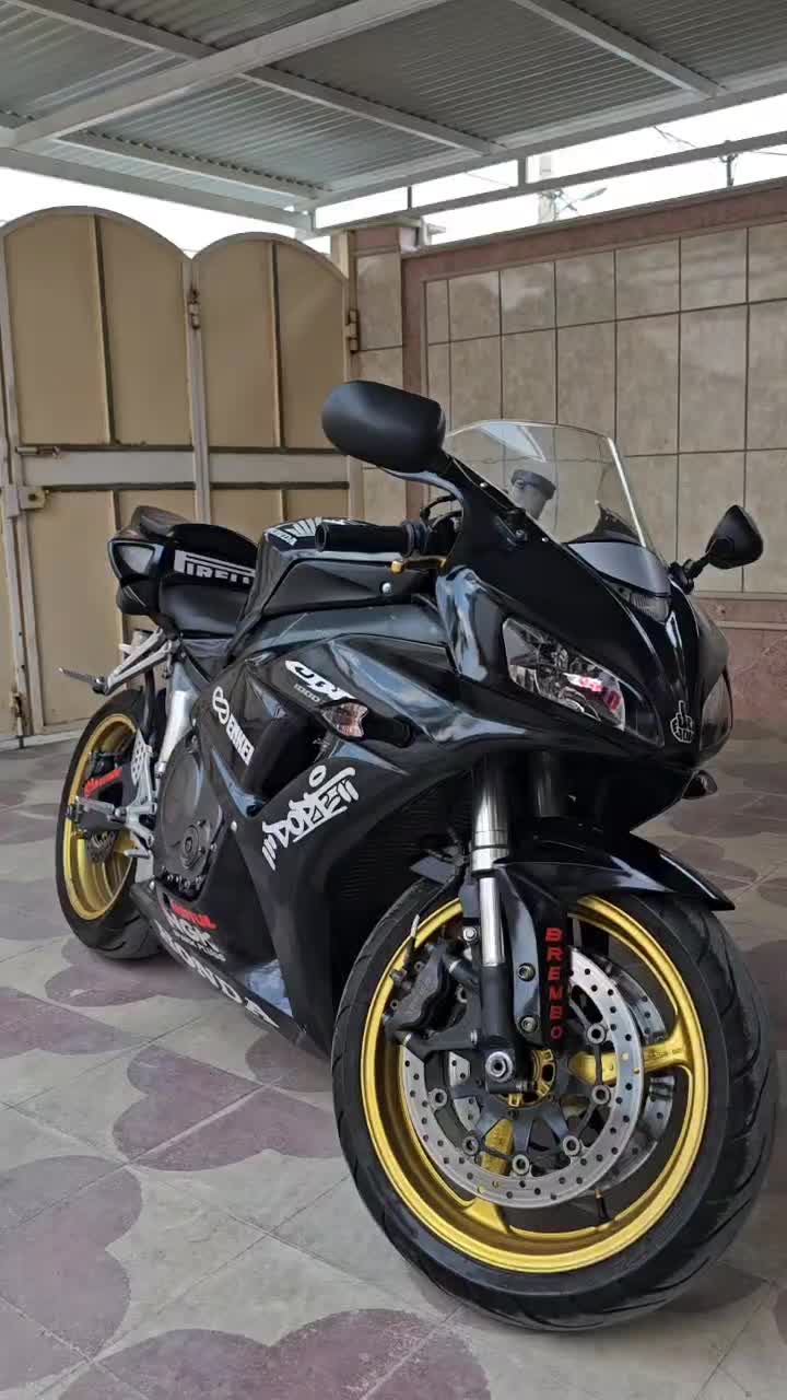 cbr1000 gsx1000 cb1300 600|موتورسیکلت|شیراز, قصرالدشت|دیوار