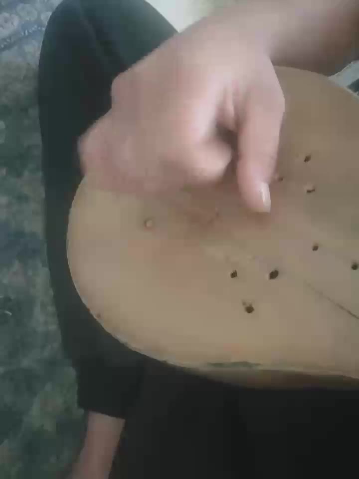 فروش|سازهای سنتی|بهارستان, |دیوار