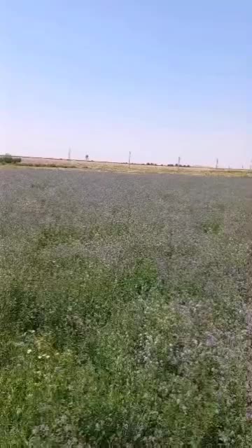 فروش کود های نسل جدید وسم  هوای کشاورزان را داریم|خدمات باغبانی و درختکاری|تبریز, |دیوار