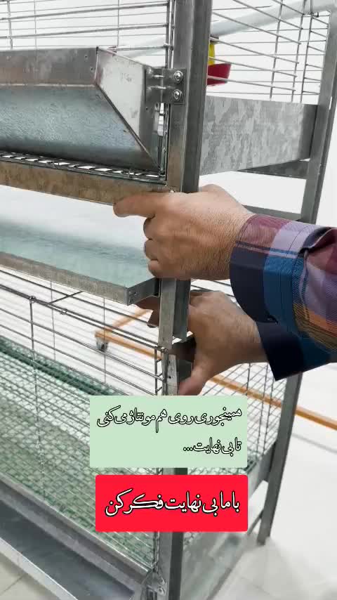 انواع باکس قفس|لوازم جانبی حیوانات|چابکسر, |دیوار