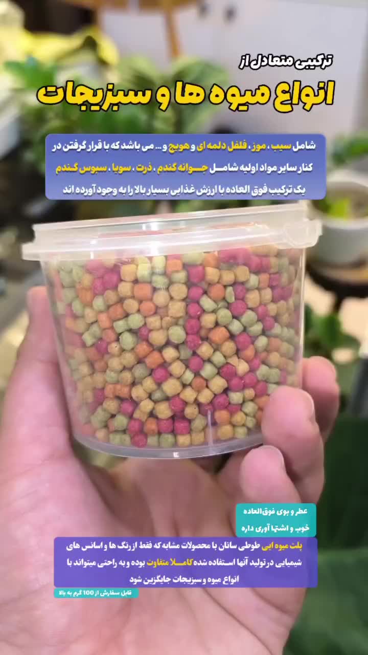 پلت میوه ای بهترین خوراک طوطی|لوازم جانبی حیوانات|قم, نخودی|دیوار
