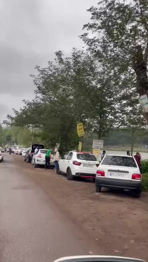 فروش زمین نسق با مدارک روستای توریستی حلیمه جان|فروش زمین و ملک کلنگی|توتکابن, |دیوار