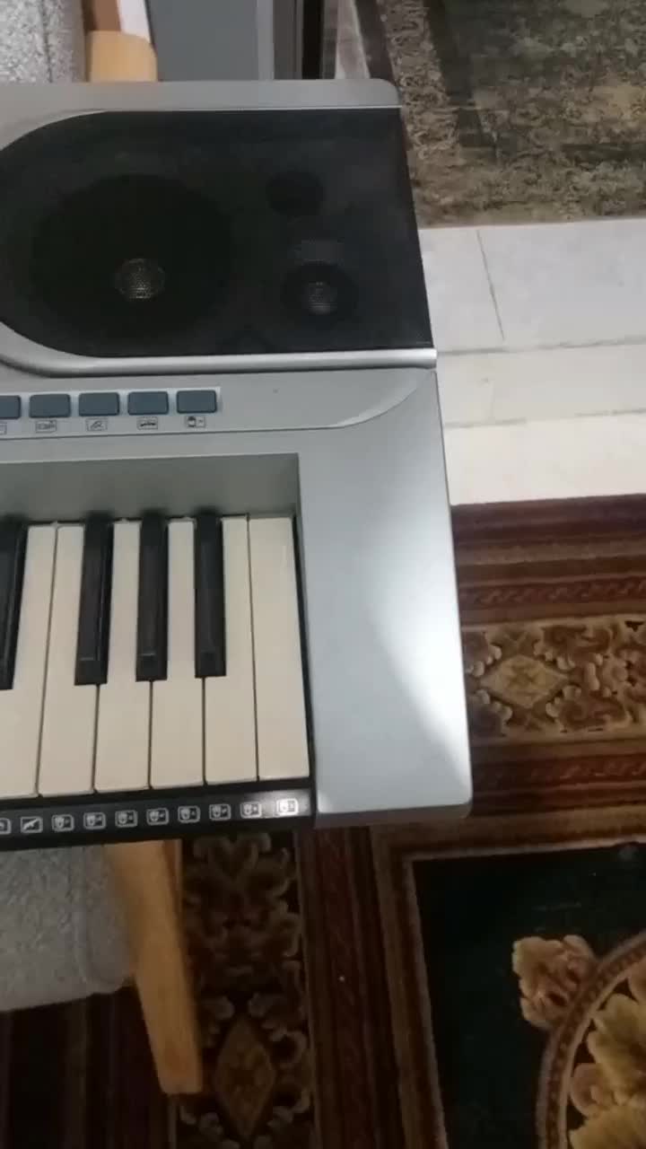 ارگ  (کیبورد)|پیانو، کیبورد، آکاردئون|ری, فیروزآبادی|دیوار