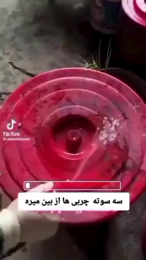 اسپری نانو|مواد شوینده و دستمال کاغذی|بندر ماهشهر, |دیوار