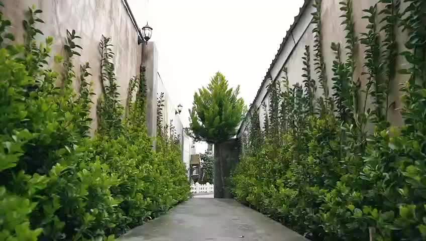 اجاره روزانه ویلای استخردار منطقه آزاد انزلی|اجارهٔ کوتاه‌مدت ویلا و باغ|بندر انزلی, جفرود پایین|دیوار