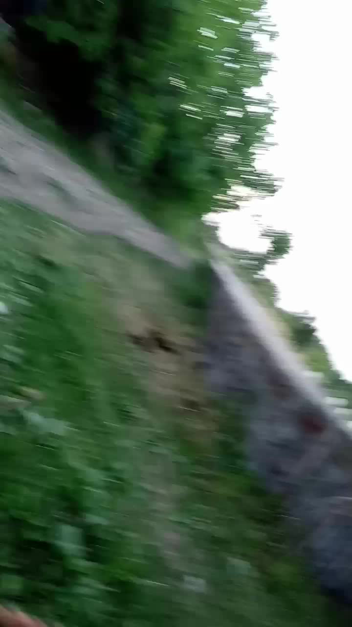 اسب آرام ونجیب بهترینه تو نوع خودش|اسب و تجهیزات اسبسواری|سیلوانه, |دیوار