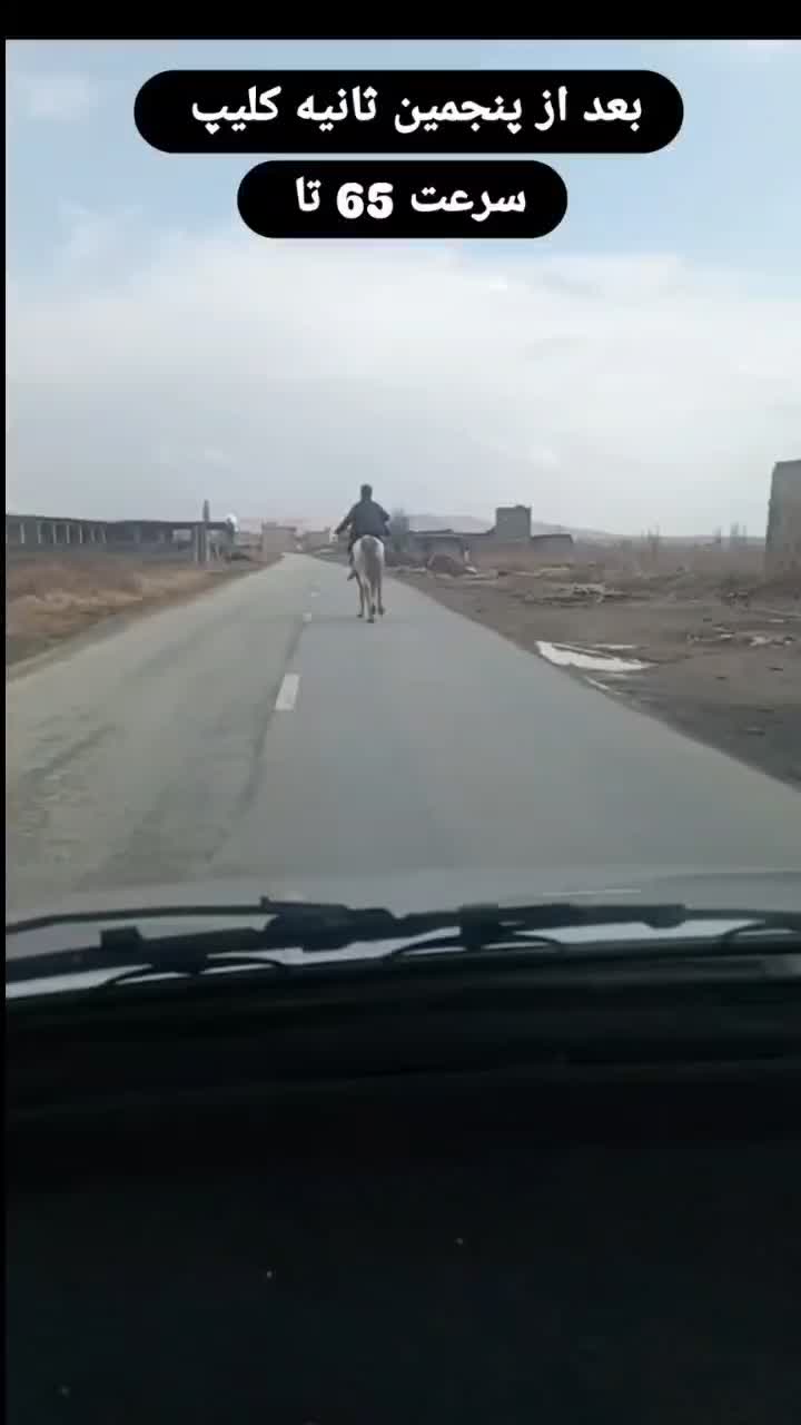 اسب کرد|اسب و تجهیزات اسب‌سواری|میاندوآب, |دیوار