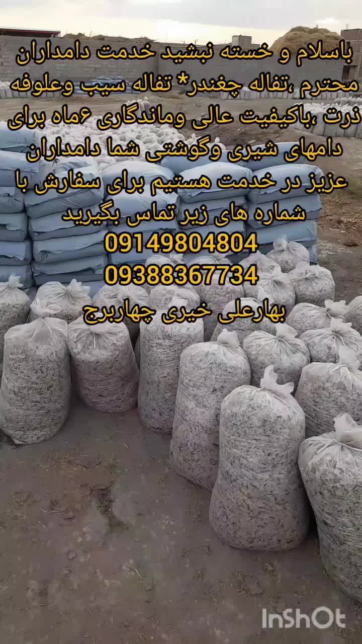 فروش تفاله چغندر وسیب وعلوفه|حیوانات مزرعه|چهاربرج, |دیوار