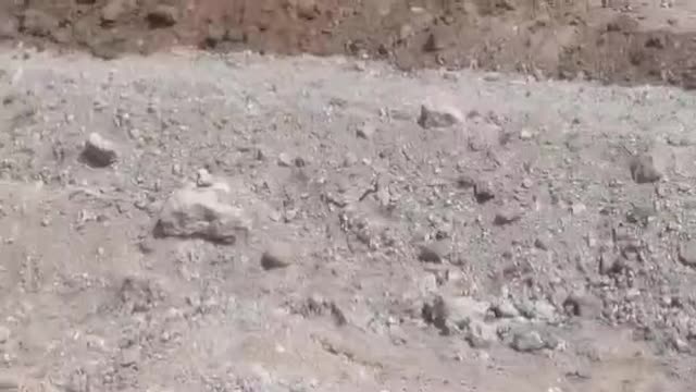 بلدوزر،بولدوزر|خودرو سنگین|قائن, |دیوار