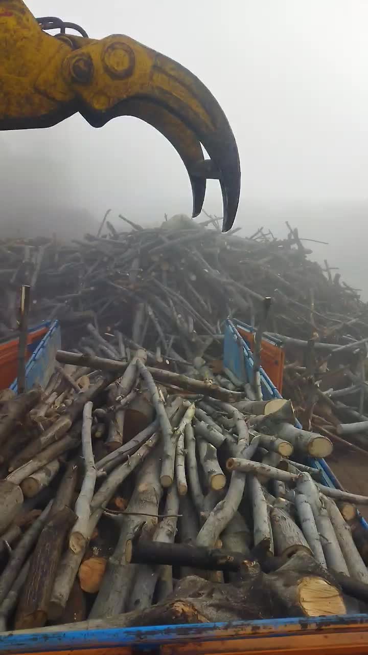 درخت باغ چوب وبیشه  چنار گردو وتیرخشگ را خریدارم|خدمات باغبانی و درختکاری|نورآباد, |دیوار