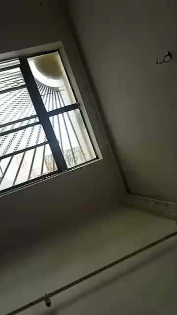 گچکاری|خدمات پیشه و مهارت|آزادشهر, |دیوار