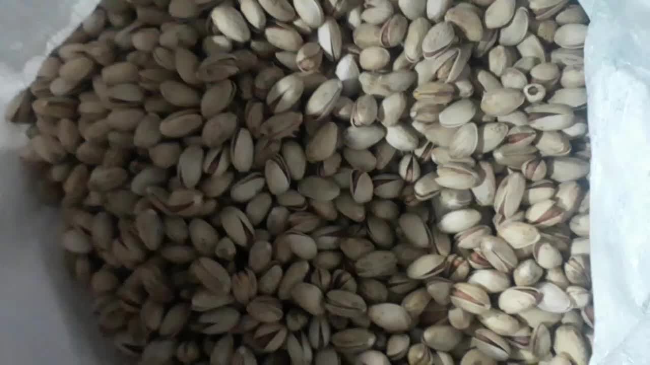 پسته شب یلدایی خوش طمع|خوردنی و آشامیدنی|شاهین‌شهر, نبوت|دیوار