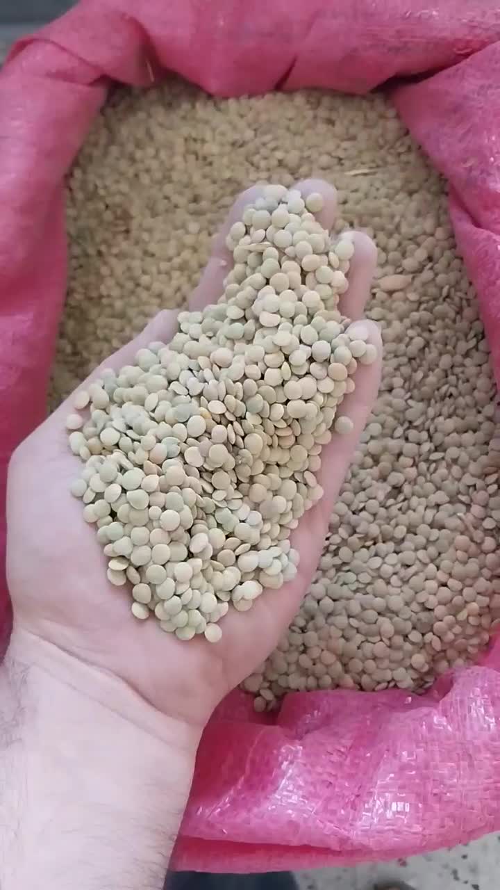 عدس *سبز* درشت محصول ۱۴۰۴ حبوبات *ضمانتی*|خوردنی و آشامیدنی|مشهد, امامیه (شهرک غرب)|دیوار