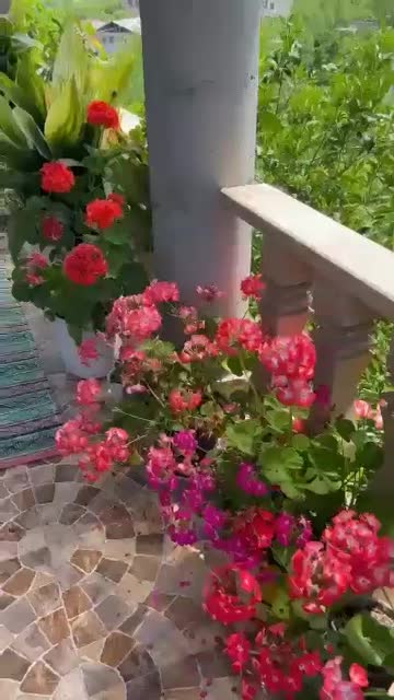 ویلا باغ ۱۰۰ متری تراس دار لفور|اجارهٔ کوتاهمدت ویلا و باغ|مرزیکلا, |دیوار