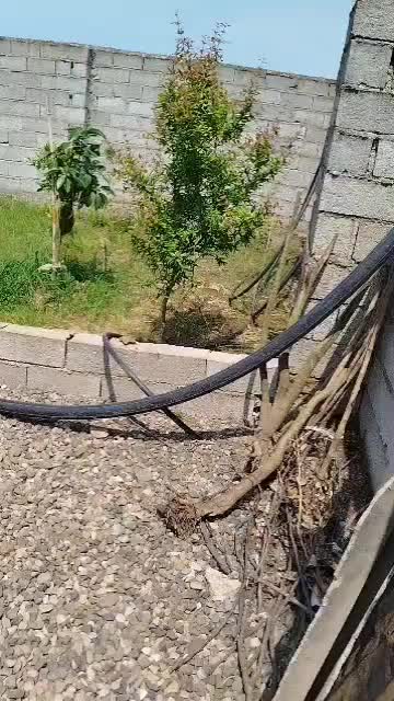 معاوضه زمین چسب بافت با آب برق گاز مصرفی در لنگرود|فروش زمین و ملک کلنگی|کرج, کوی امامیه|دیوار