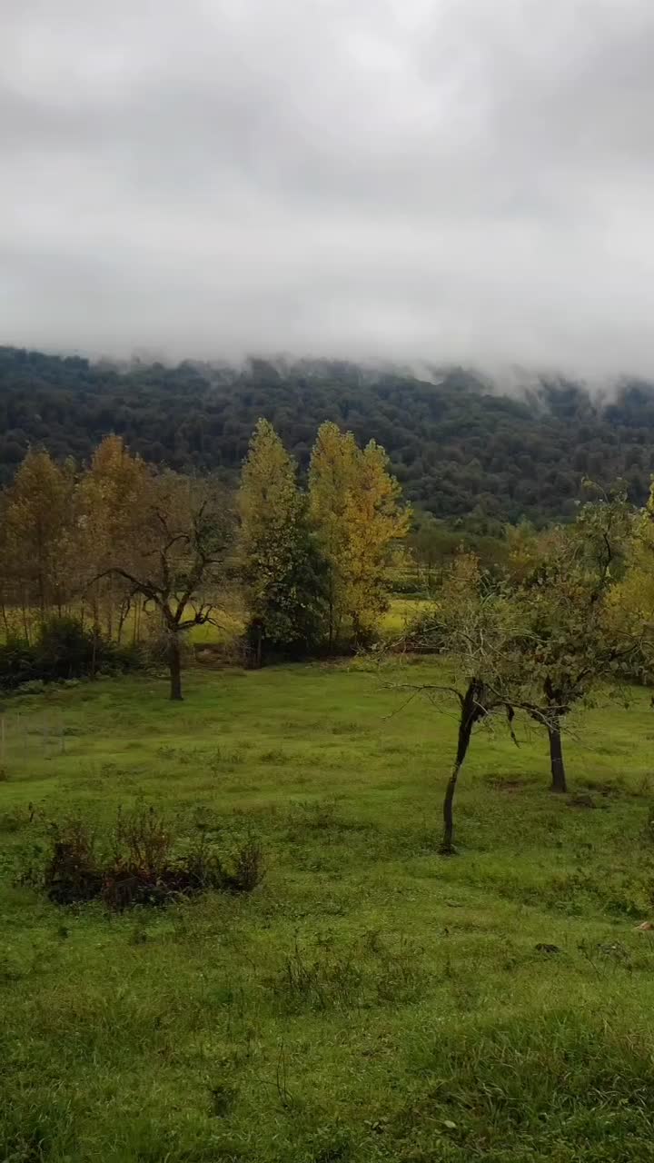 بهشت واقعی اینجاست ۵۰۰مترزمین کوهپایه جنگلی بکر|فروش زمین و ملک کلنگی|فومن, |دیوار