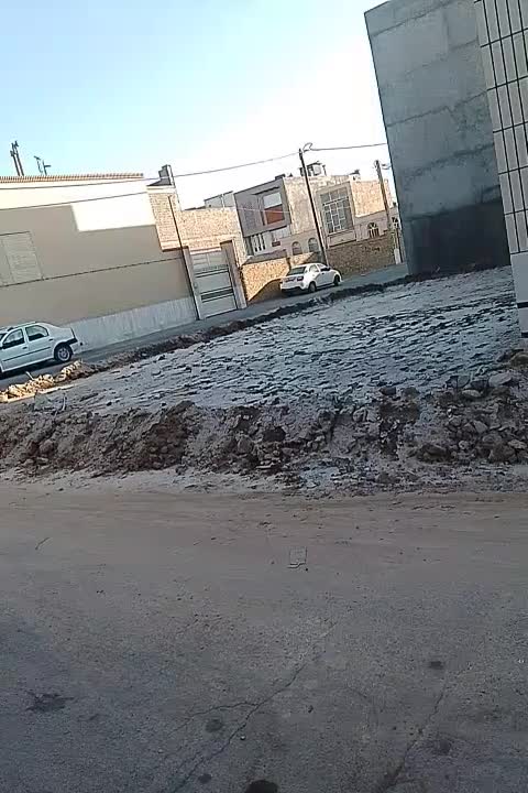 کوتوله دستی|پرنده|اردکان, |دیوار