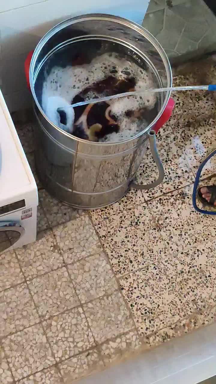 پتوشور|ماشین لباسشویی و خشک‌کن لباس|رباط‌کریم, کیکاور|دیوار