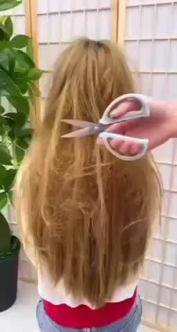 برس حرارتی|آرایشی، بهداشتی، درمانی|تهران, تهران‌نو|دیوار