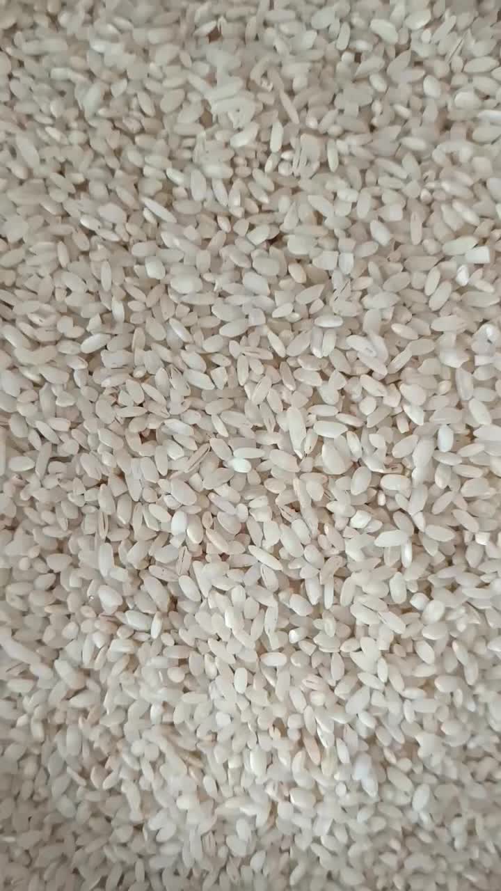 برنج گرده سید آباد کیاسر|خوردنی و آشامیدنی|ساری, |دیوار