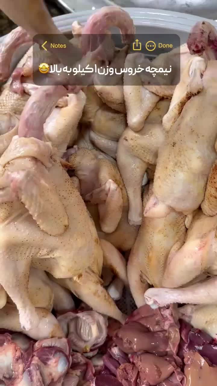 ارگانیک . اردک محلی باغی420|خوردنی و آشامیدنی|رشت, احمد گوراب|دیوار