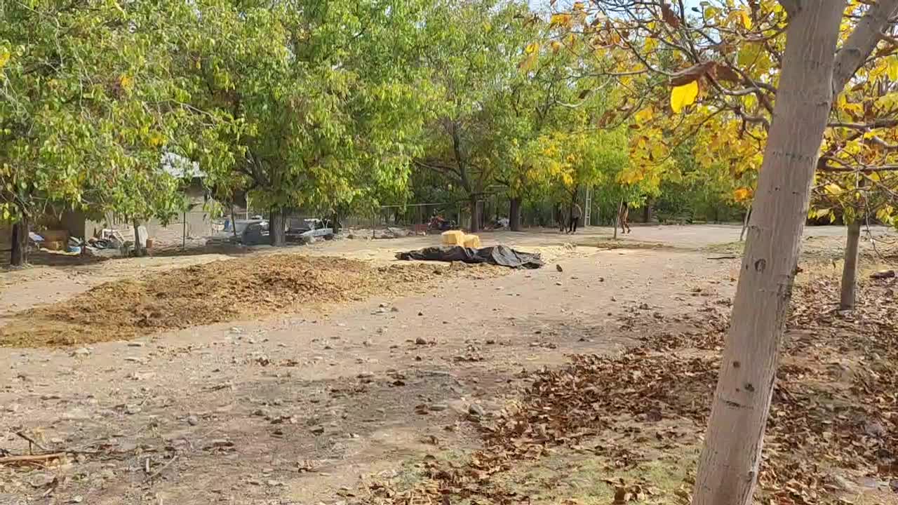 کره نریان|اسب و تجهیزات اسب‌سواری|رابر, |دیوار