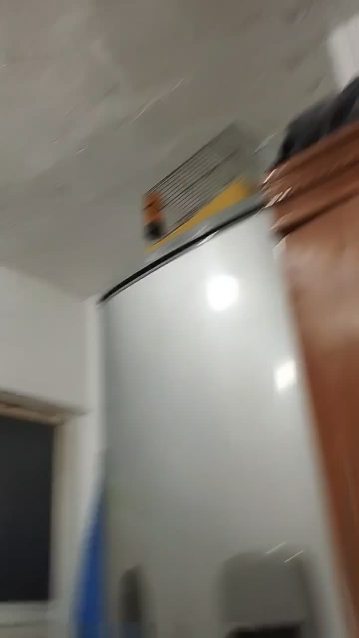 سهره بخون|پرنده|قدس, شهرقدس|دیوار