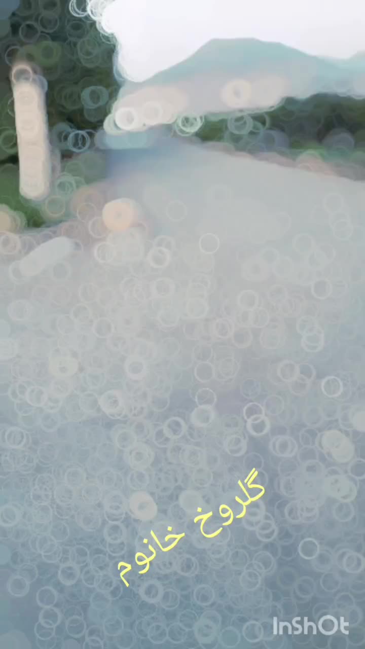 مادیون یسر عرب|اسب و تجهیزات اسب‌سواری|اراک, |دیوار