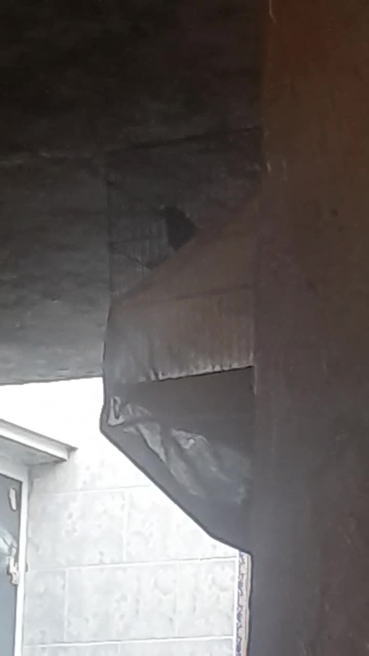 قناری سرخ کبالت پلاک ۲۰۲۴|پرنده|مرودشت, مختارآباد|دیوار