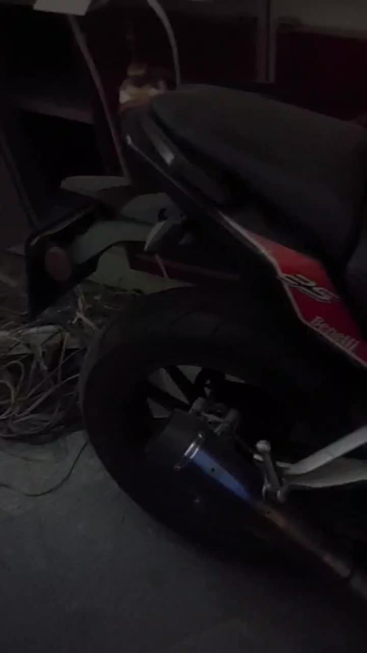 بنلی ۲۵۰ تک|موتورسیکلت|کرمان, |دیوار