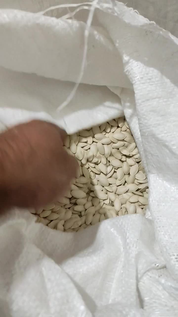 تخمه کدو|خوردنی و آشامیدنی|بهمن صغاد, |دیوار