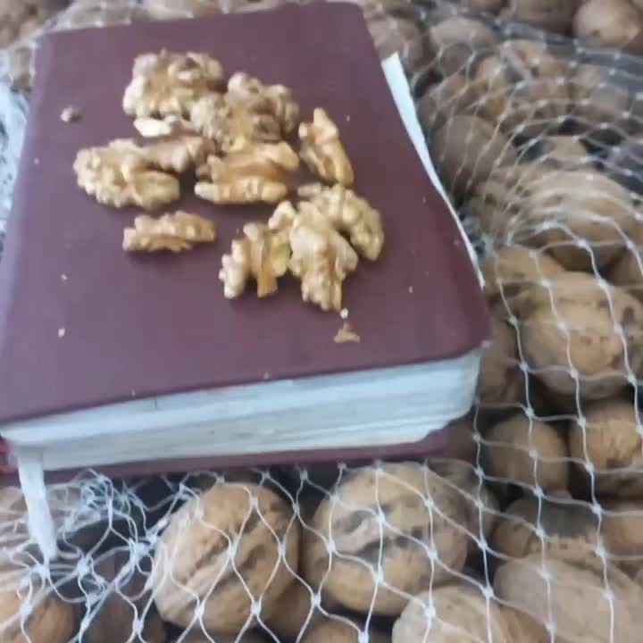 گردو|خوردنی و آشامیدنی|جم, |دیوار