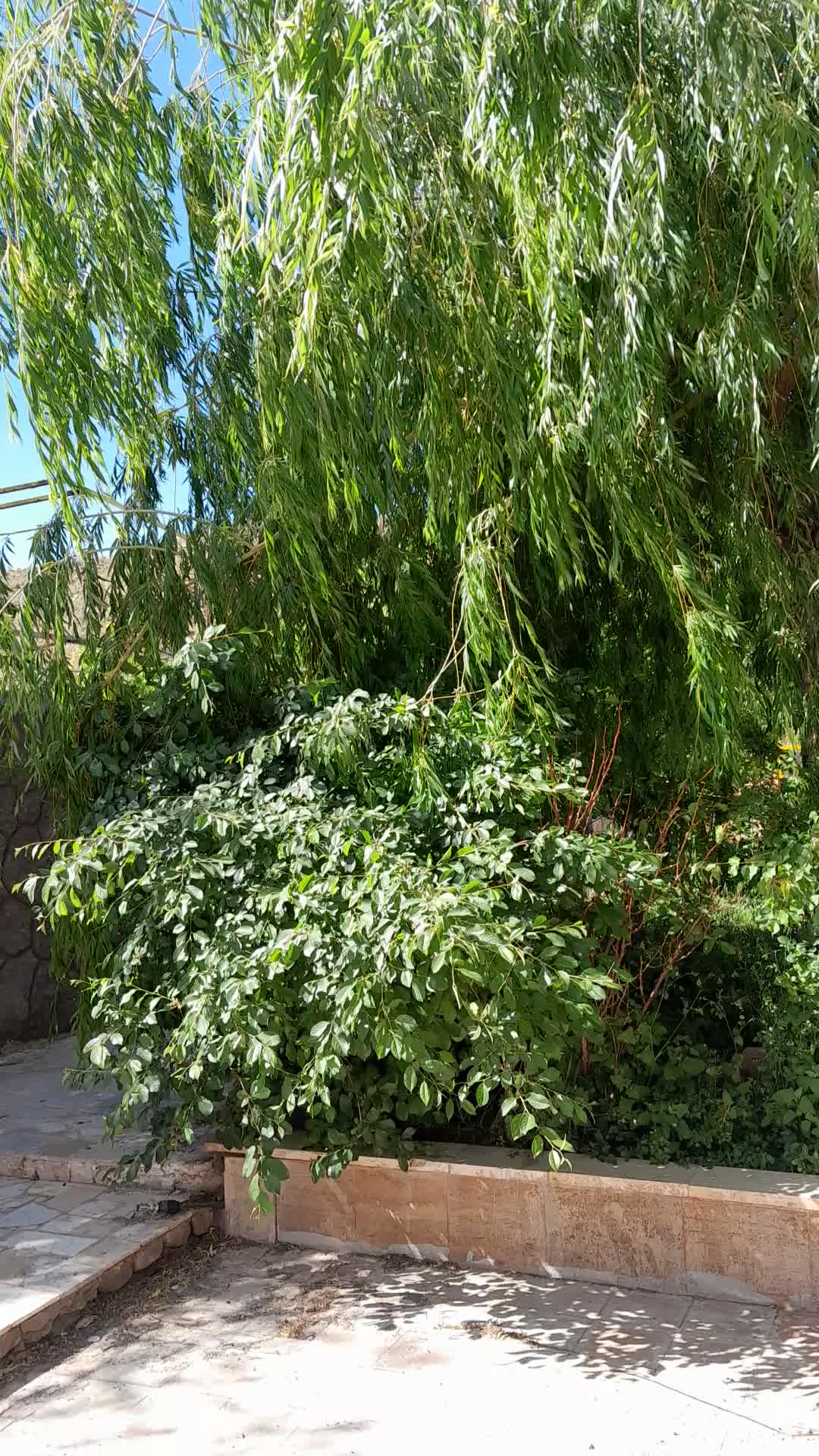 باغ ویلاروستای گردشگری بکاول (معاوضه باماشین دارم)|فروش خانه و ویلا|تربتحیدریه, بالا ولایت|دیوار