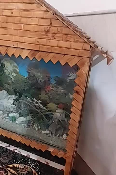 اکواریوم کلبه ای|ماهی|قم, نخودی|دیوار