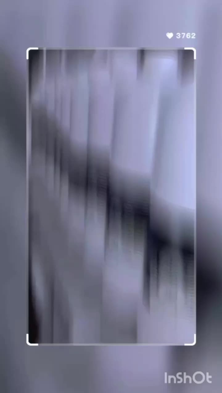 محلول ضدعفونی کننده حیوانات خانگی|عمده‌فروشی|قائن, |دیوار