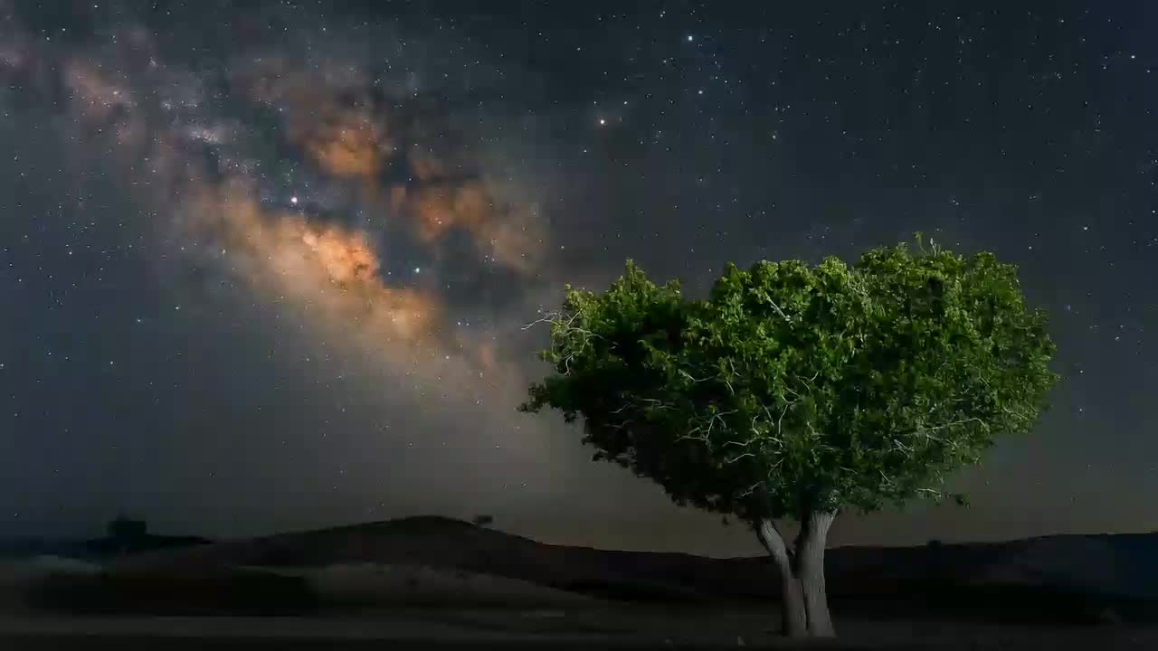 عکاسی ب صورت حرفه ی (آتلیه آنلاین)|خدمات پذیرایی، مراسم|زاهدان, |دیوار