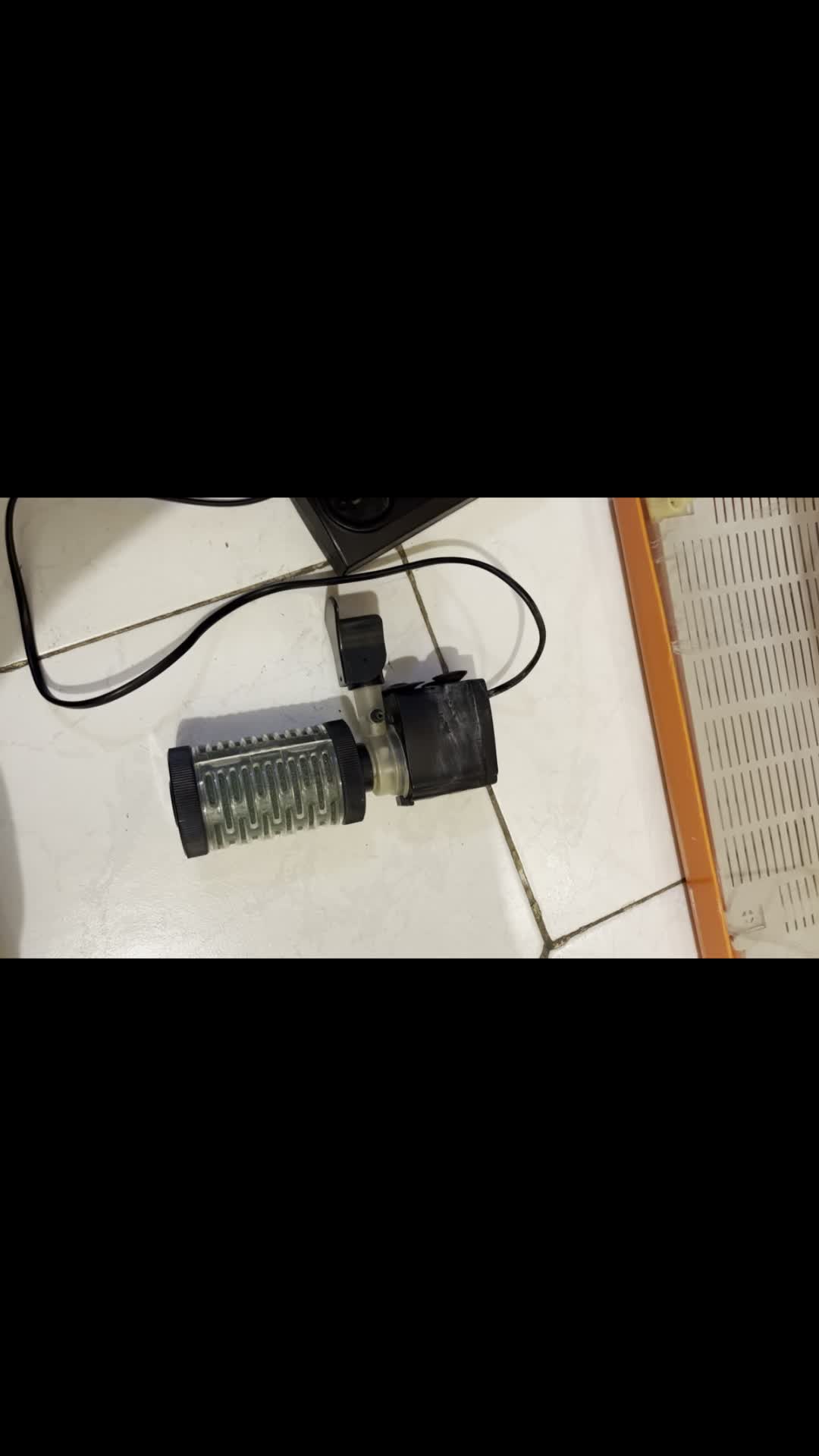 آکواریوم|ماهی|تهران, امانیه|دیوار