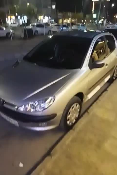 206 مدل 87|خودرو سواری و وانت|بیرجند, |دیوار