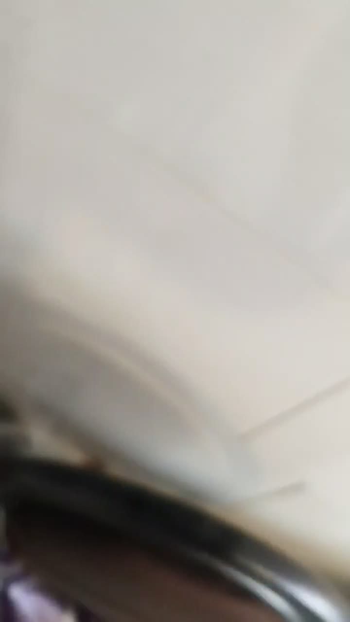 یک جفت قناری دم تخم|پرنده|یزد, |دیوار