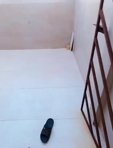 فروش آپارتمان طبقه یک|فروش آپارتمان|بندر ماهشهر, |دیوار