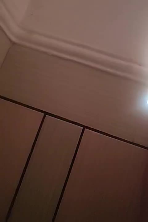 اجاره ی مغازع|اجارهٔ مغازه و غرفه|دهدشت, |دیوار