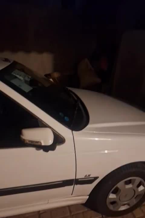 پارس تیوفایو|خودرو سواری و وانت|رضویه, |دیوار