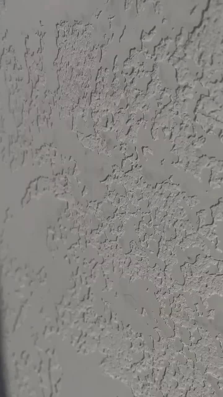 اجرای تخصصی میکروسمنت،نما،دیوار،کف،قیمت منصفانه|خدمات پیشه و مهارت|تهران, پونک|دیوار