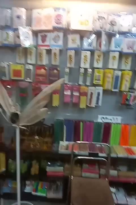 بادکنک آرایی عصمتی فقط ۳۵۰|خدمات پذیرایی، مراسم|مشهد, حضرت حجت|دیوار