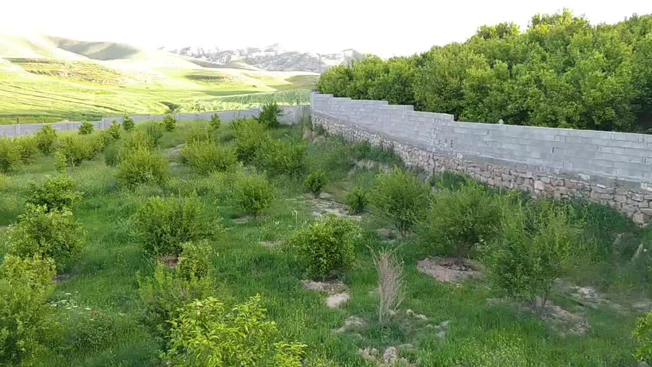 زمین ویلاباغ|فروش زمین و ملک کلنگی|ایذه, |دیوار