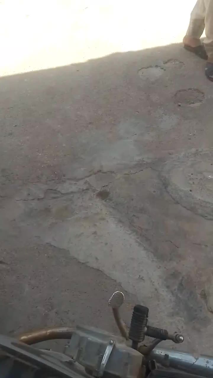 سگ ژرمن|سگ|اهواز, ۲۰۰۰واحدی|دیوار