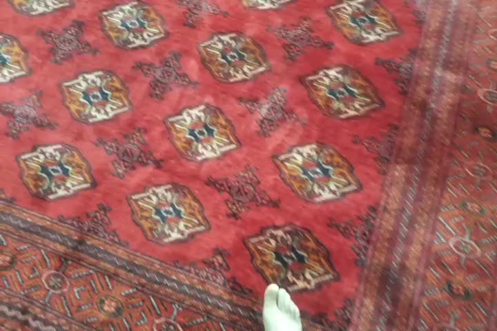 فرش پشمی ۱۲ ترکمنی|فرش|قوچان, |دیوار