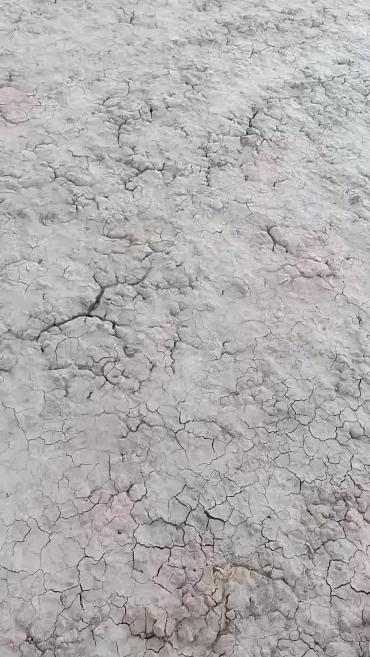 موتور تریل 250 توسان1404|موتورسیکلت|هلالی, |دیوار