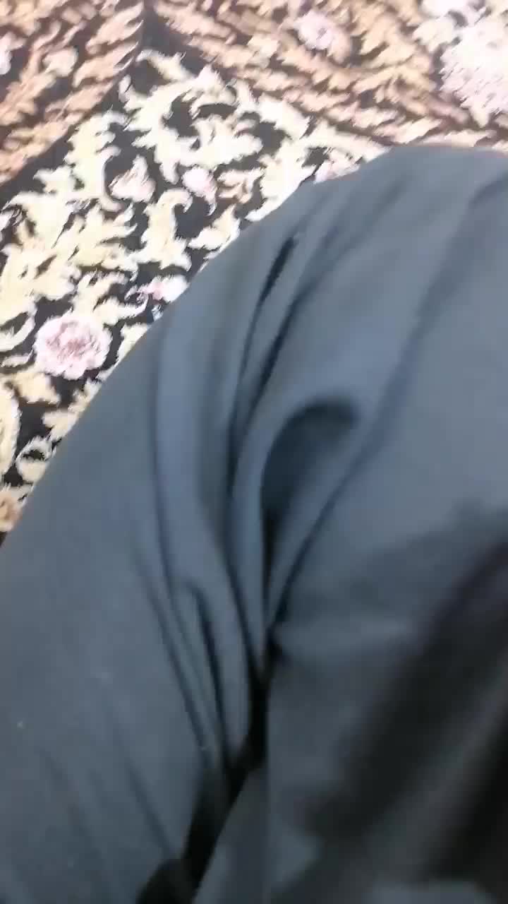 چندتا قناری نر و قناری خرما خور ابلغ|پرنده|بندر ماهشهر, |دیوار