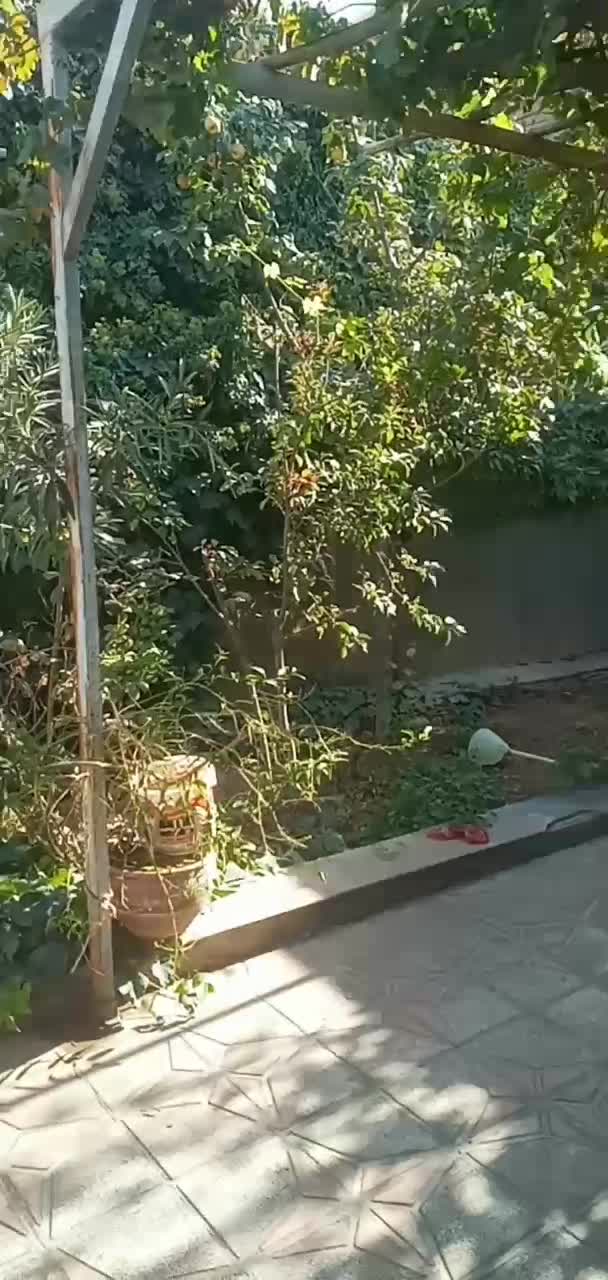 فروش خانه ویلایی|فروش خانه و ویلا|نهاوند, |دیوار